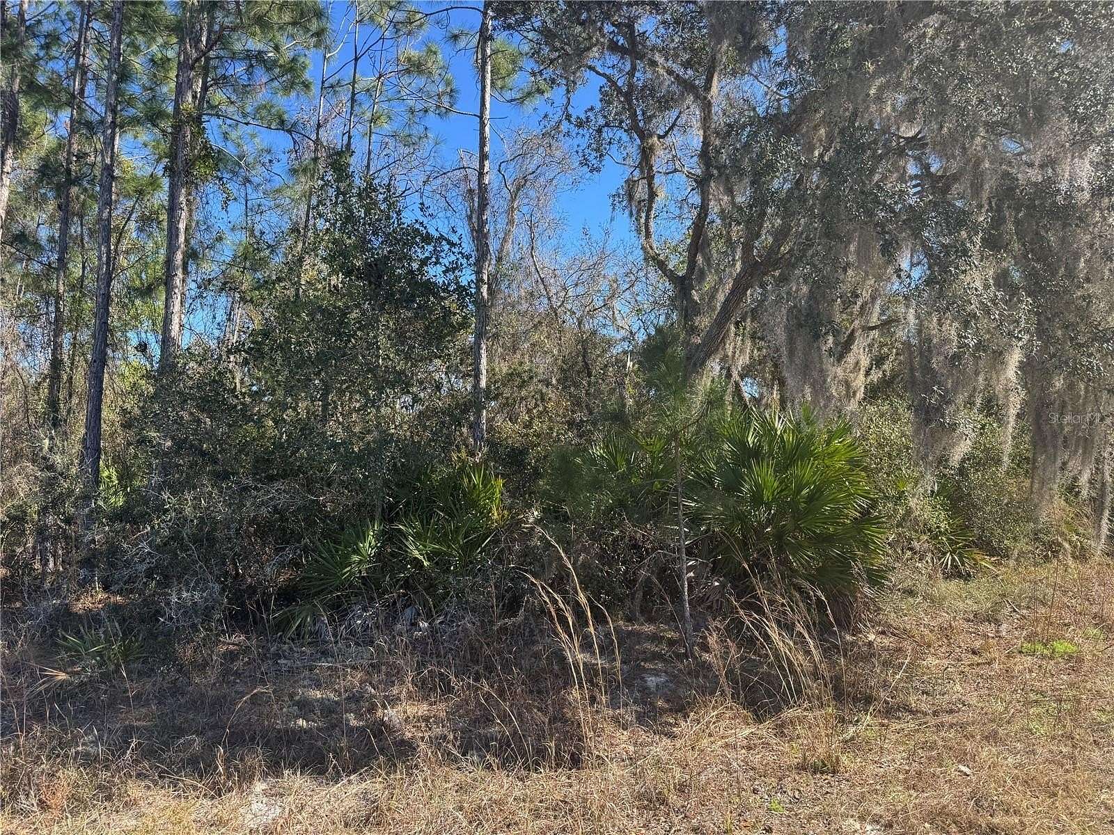1.12 Acres of Land for Sale in DeLand, Florida