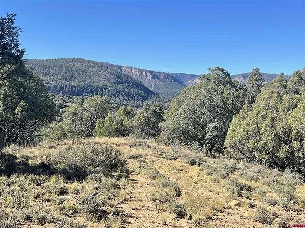35.3 Acres of Land for Sale in Pagosa Springs, Colorado