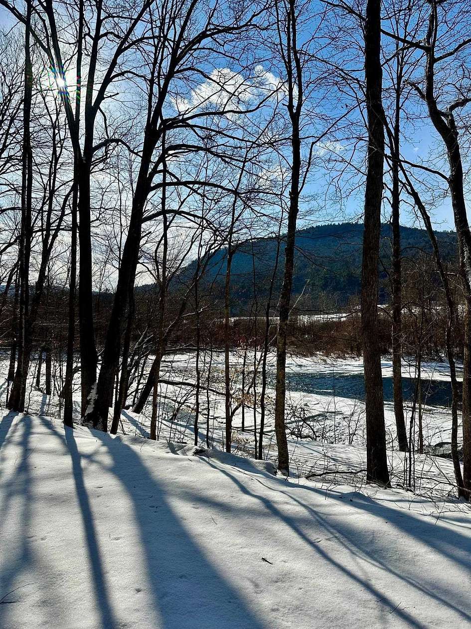 133 Acres of Agricultural Land for Sale in Townshend, Vermont