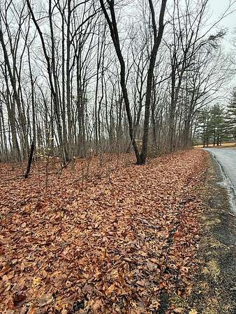 4.9 Acres of Residential Land for Sale in Pamplin City, Virginia