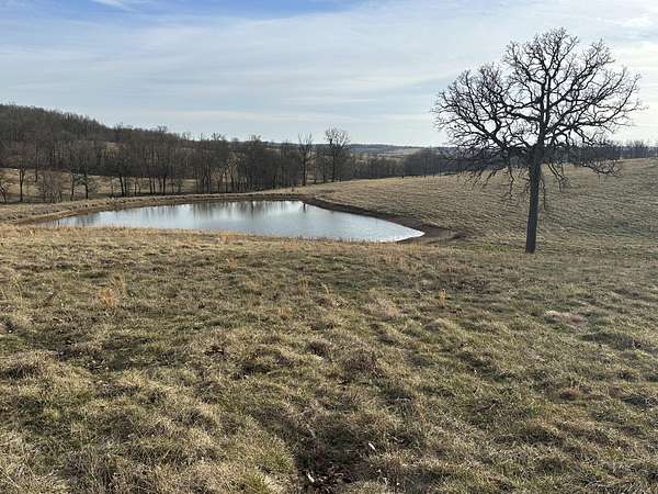 80 Acres of Recreational Land for Sale in Mountain Grove, Missouri