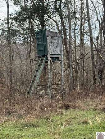 17.8 Acres of Recreational & Residential Land for Sale in Princeton, Kentucky