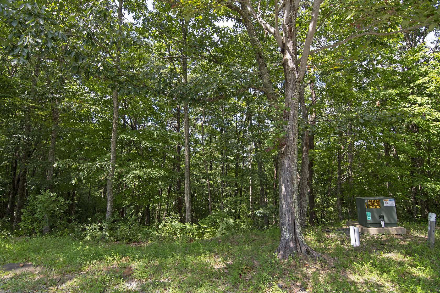 1.18 Acres of Residential Land for Sale in Caldwell, West Virginia