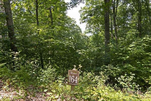 8.44 Acres of Residential Land for Sale in Caldwell, West Virginia