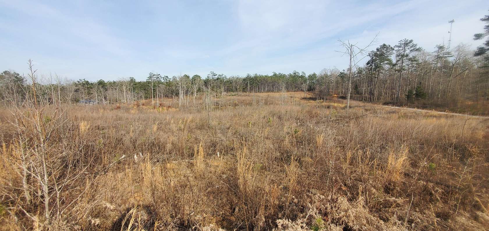 85.6 Acres of Recreational & Residential Land for Sale in Booneville, Mississippi