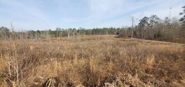 85.6 Acres of Recreational & Residential Land for Sale in Booneville, Mississippi