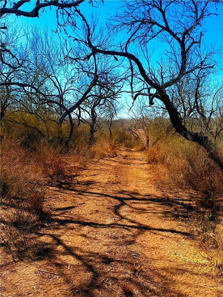 12.1 Acres of Recreational Land for Sale in San Diego, Texas