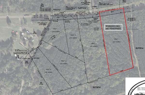 5 Acres of Residential Land for Sale in Broaddus, Texas