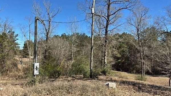 3 Acres of Land for Sale in Joaquin, Texas
