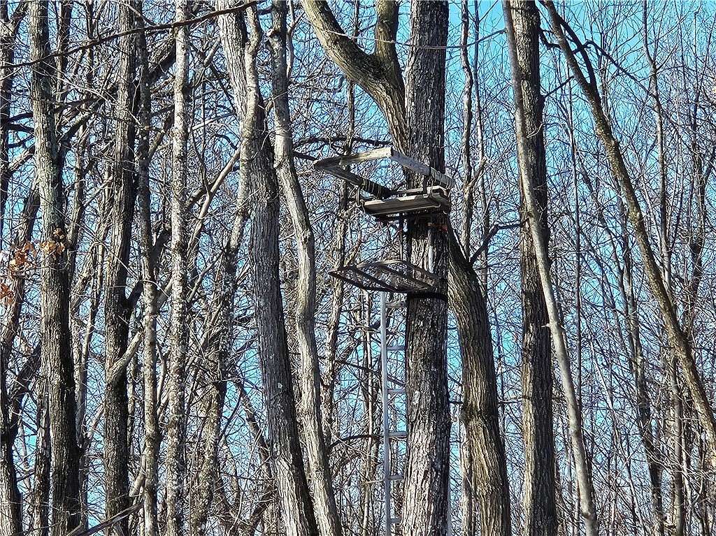 80 Acres of Recreational & Residential Land for Sale in Rice Lake, Wisconsin