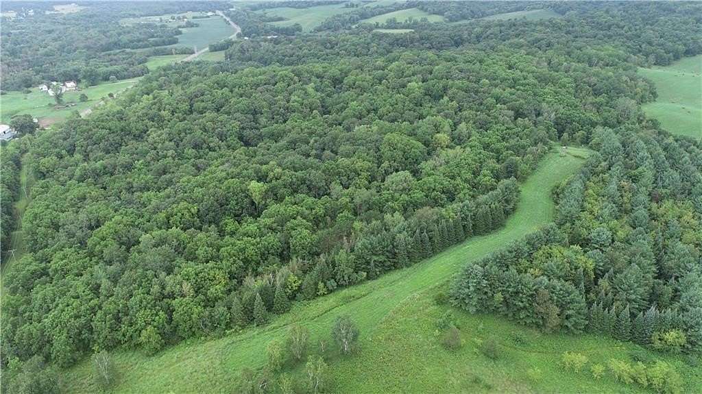50 Acres of Recreational Land for Sale in Mondovi, Wisconsin