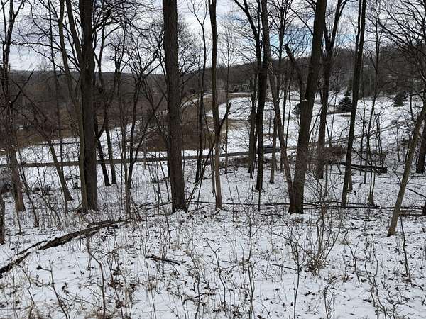 0.66 Acres of Land for Sale in Ionia, Michigan