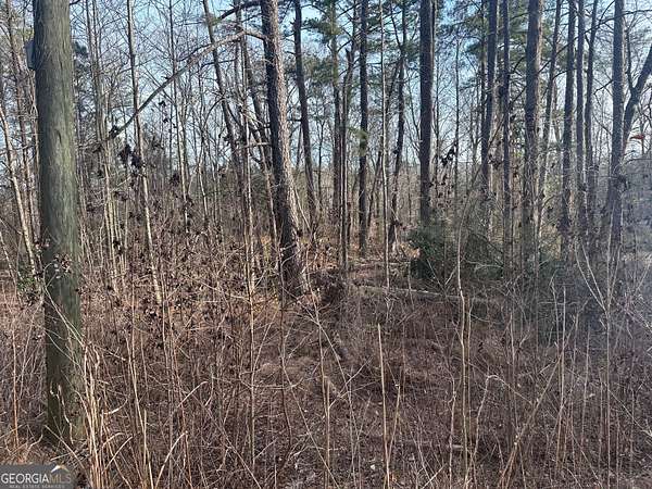 1 Acre of Residential Land for Sale in South Fulton, Georgia