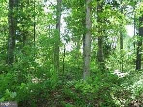 0.24 Acres of Residential Land for Sale in Greenbackville, Virginia