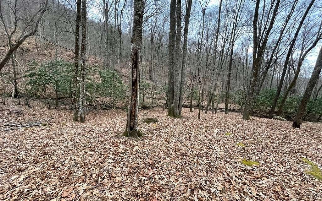 3.77 Acres of Residential Land for Sale in Hayesville, North Carolina