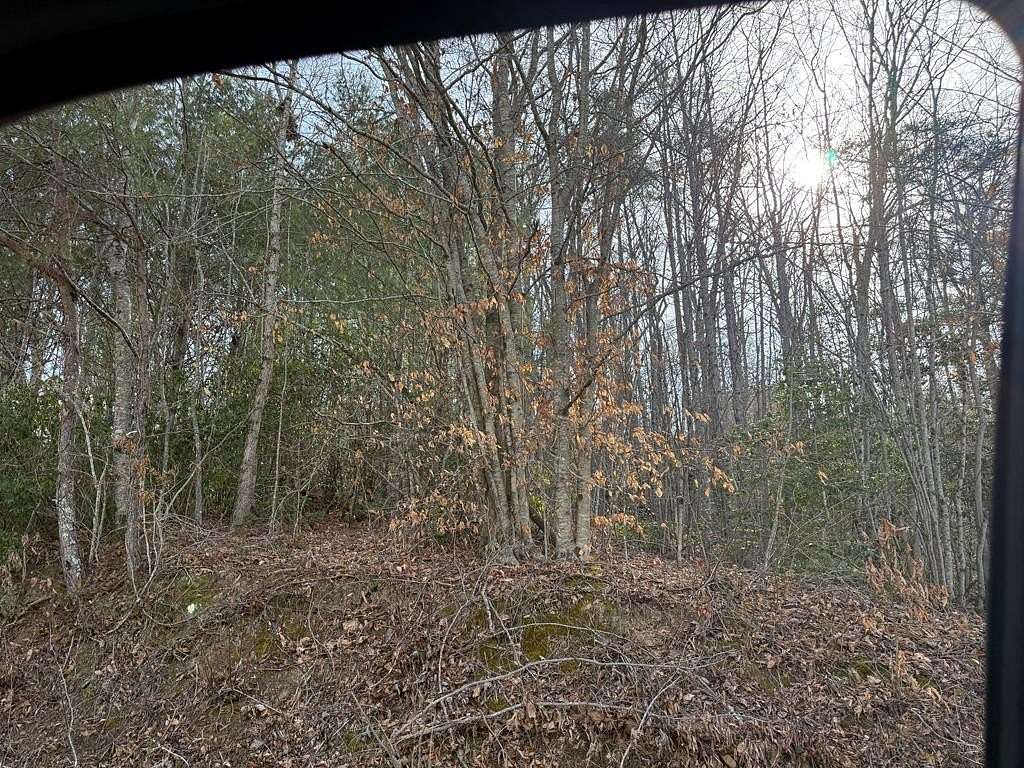 Land for Sale in Murphy, North Carolina