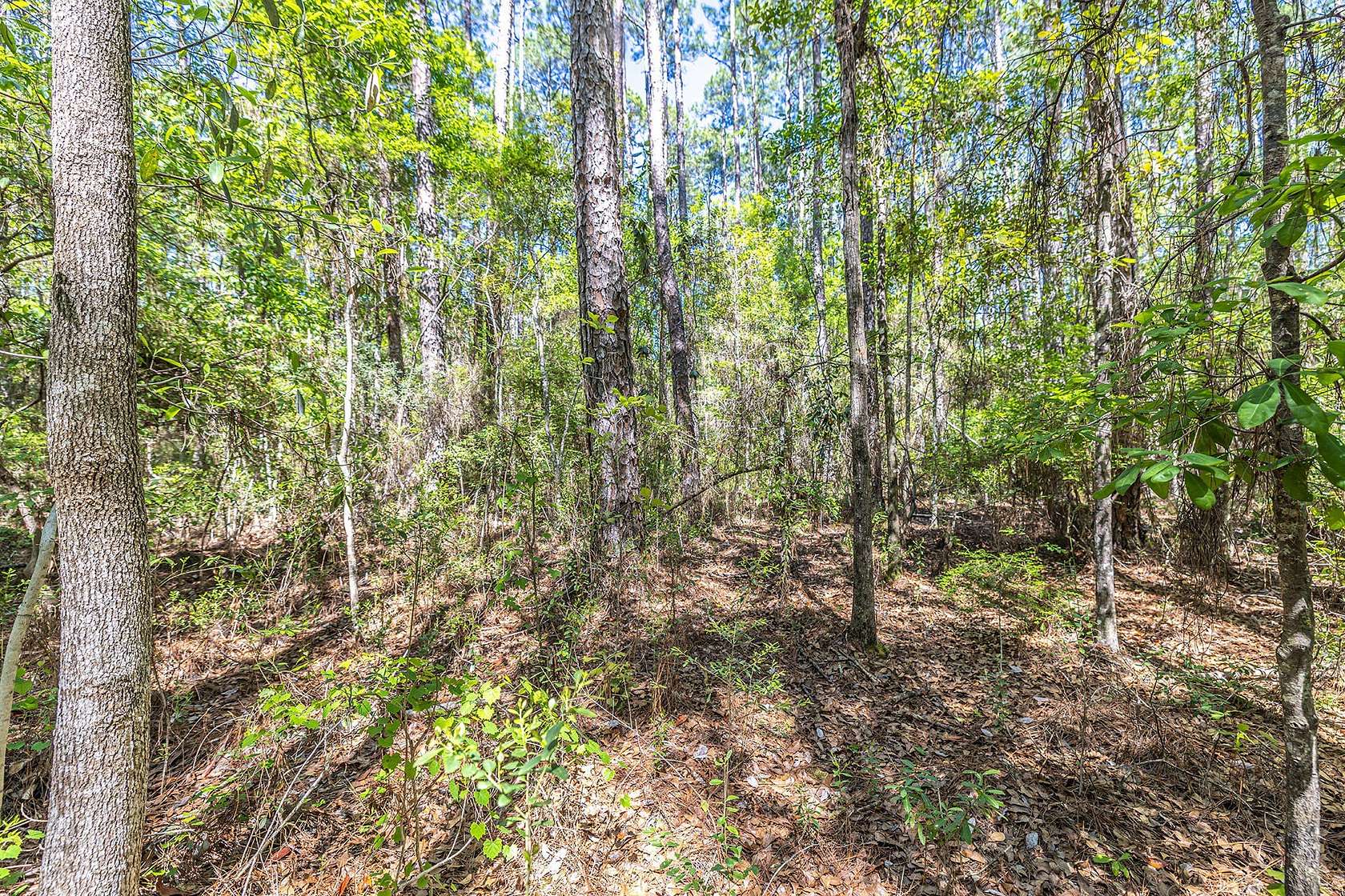 1.88 Acres of Residential Land for Sale in Freeport, Florida