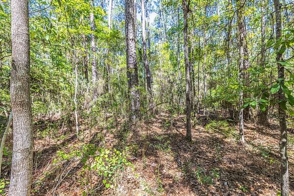 1.88 Acres of Residential Land for Sale in Freeport, Florida