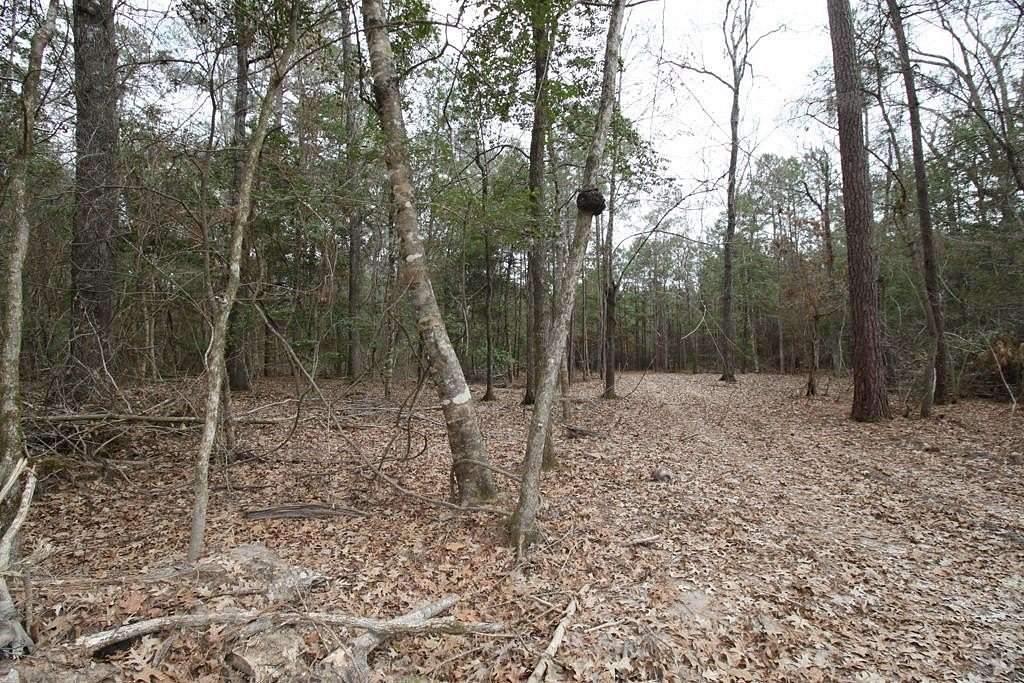 4 Acres of Residential Land for Sale in Lufkin, Texas