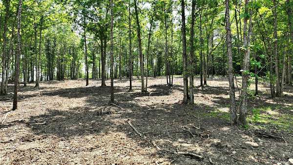 10.1 Acres of Land for Sale in Mena, Arkansas