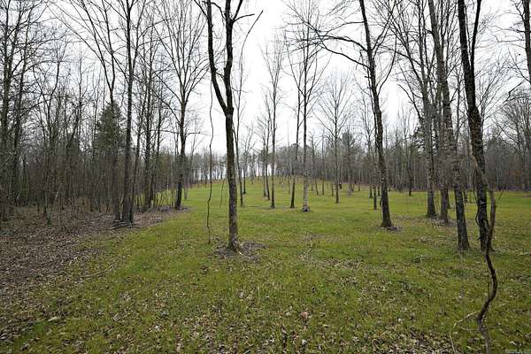 10.1 Acres of Recreational & Residential Land for Sale in Mena, Arkansas