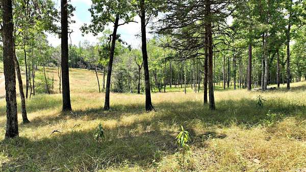 10 Acres of Recreational & Residential Land for Sale in Mena, Arkansas