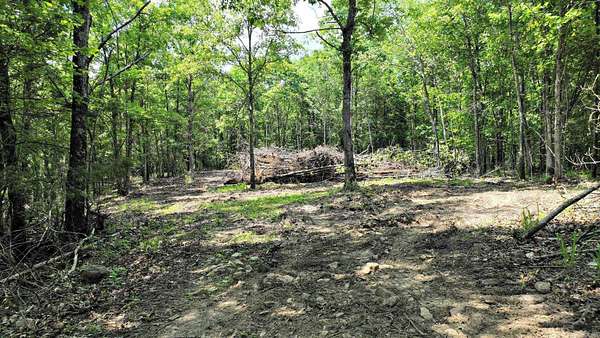 10.1 Acres of Recreational & Residential Land for Sale in Mena, Arkansas