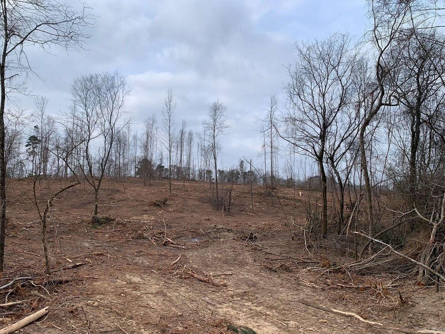 20.2 Acres of Land for Sale in Bismarck, Arkansas