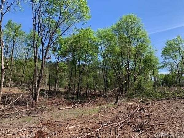 20.2 Acres of Land for Sale in Bismarck, Arkansas