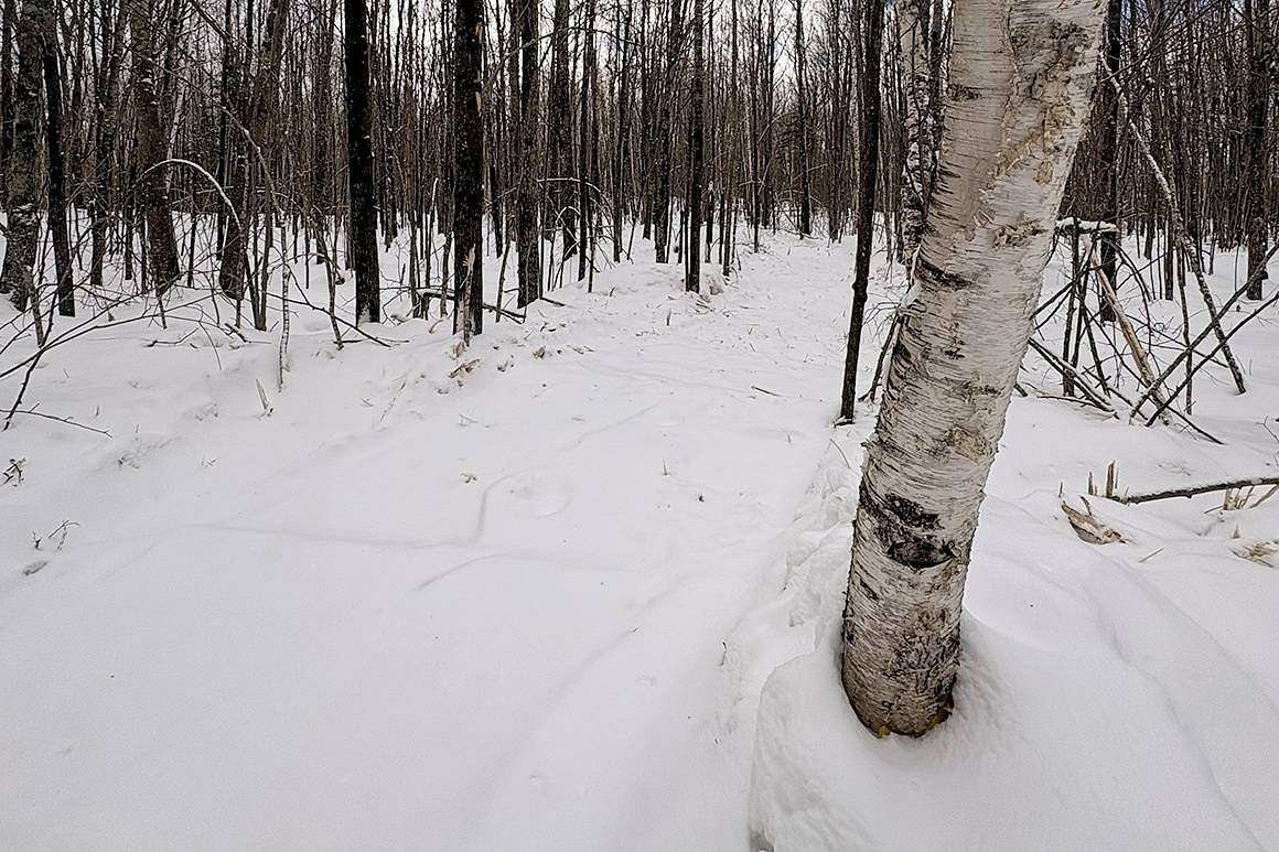 2.2 Acres of Land for Sale in Winter, Wisconsin