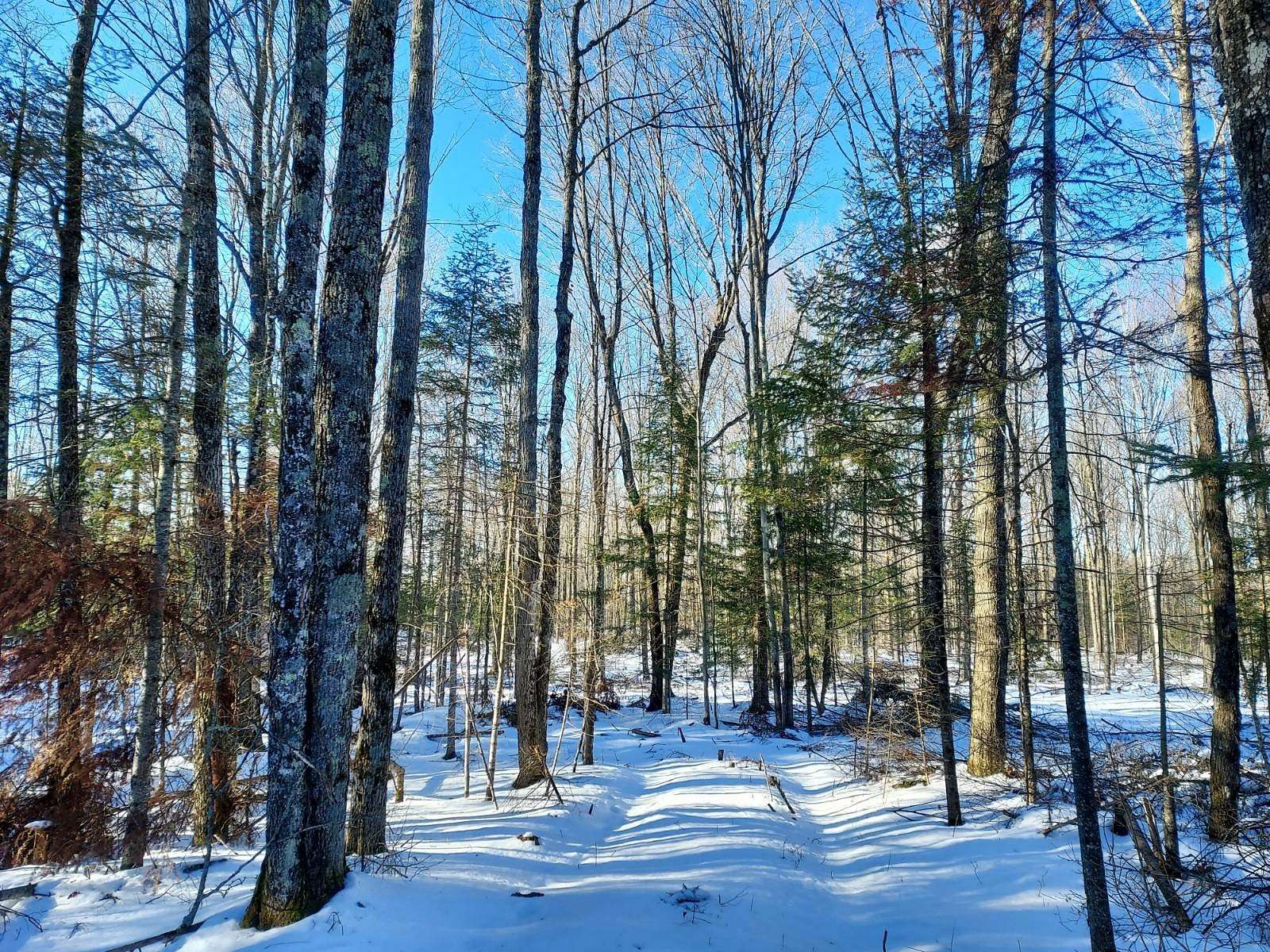 1.85 Acres of Residential Land for Sale in Winter, Wisconsin