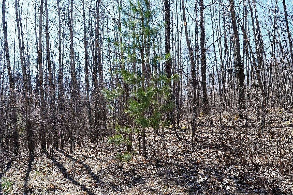 1.85 Acres of Residential Land for Sale in Winter, Wisconsin
