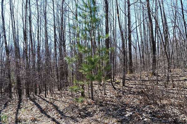 1.85 Acres of Residential Land for Sale in Winter, Wisconsin