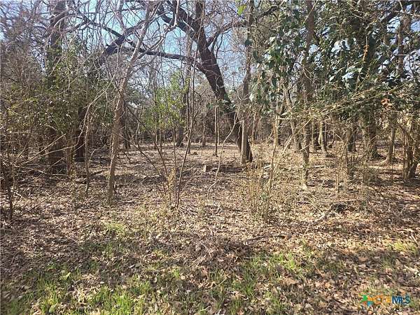 0.25 Acres of Residential Land for Sale in Belton, Texas