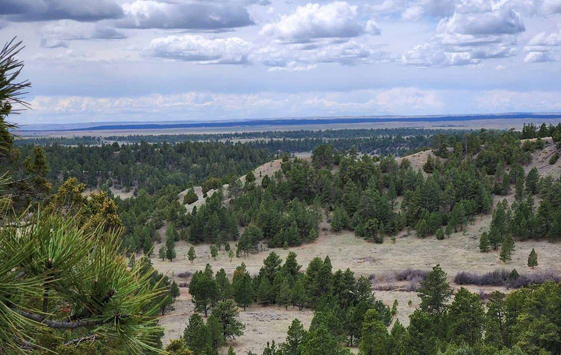 64.5 Acres of Land for Sale in Sundance, Wyoming