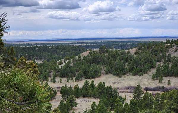 64.5 Acres of Land for Sale in Sundance, Wyoming