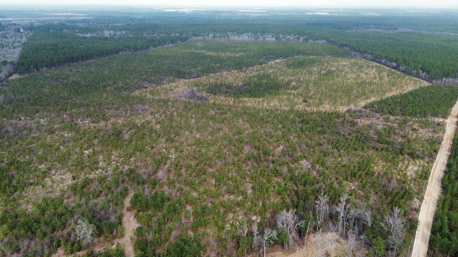 132 Acres of Recreational Land for Sale in Bethune, South Carolina