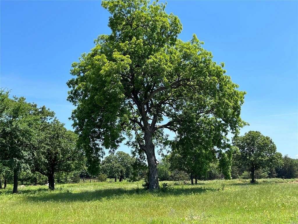 4 Acres of Residential Land for Sale in Gainesville, Texas