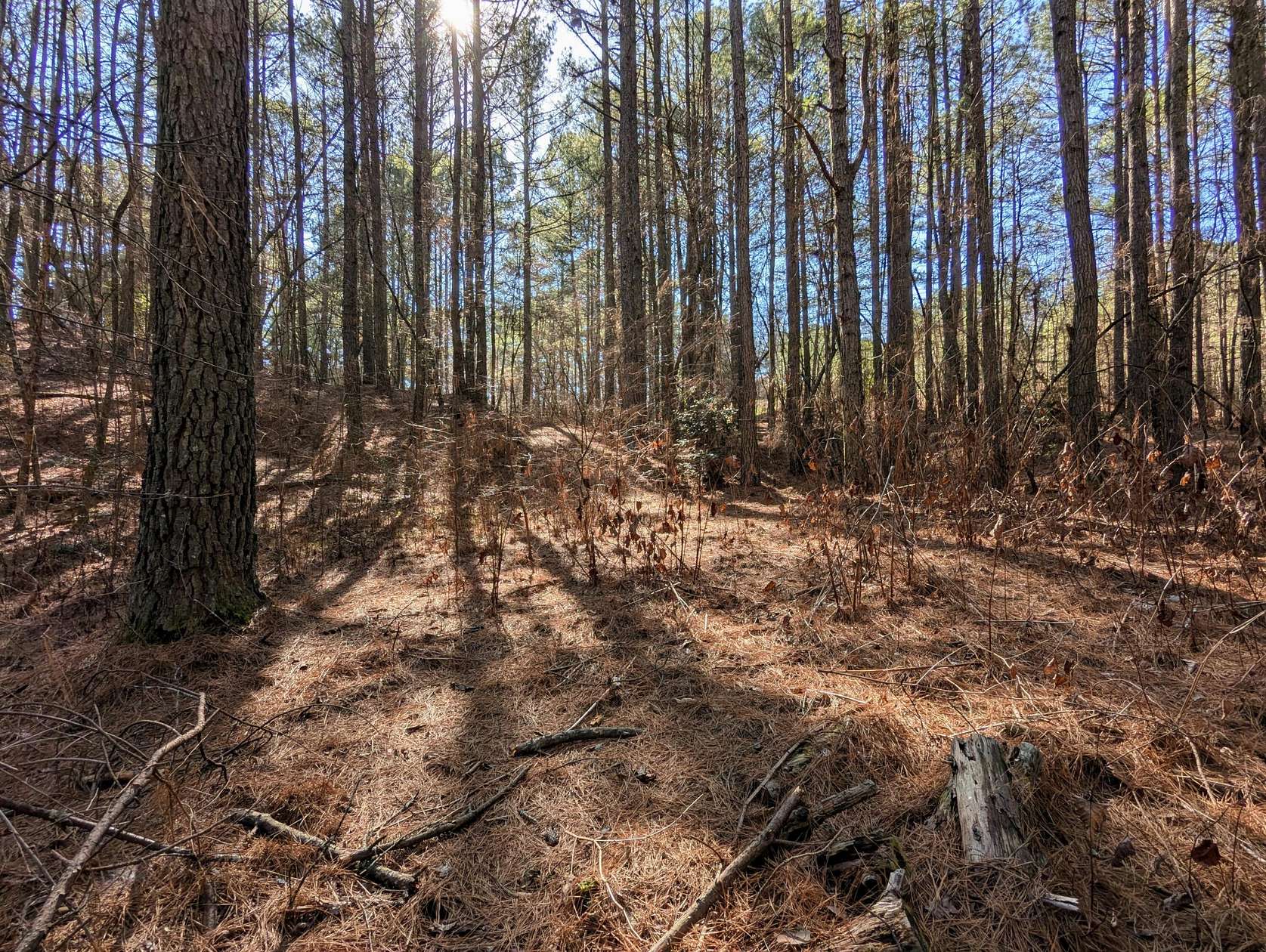 1.18 Acres of Residential Land for Sale in Copperhill, Tennessee