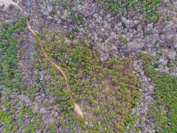 29.4 Acres of Recreational Land for Sale in Whatley, Alabama