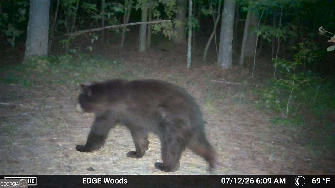 11.3 Acres of Land for Sale in Waleska, Georgia