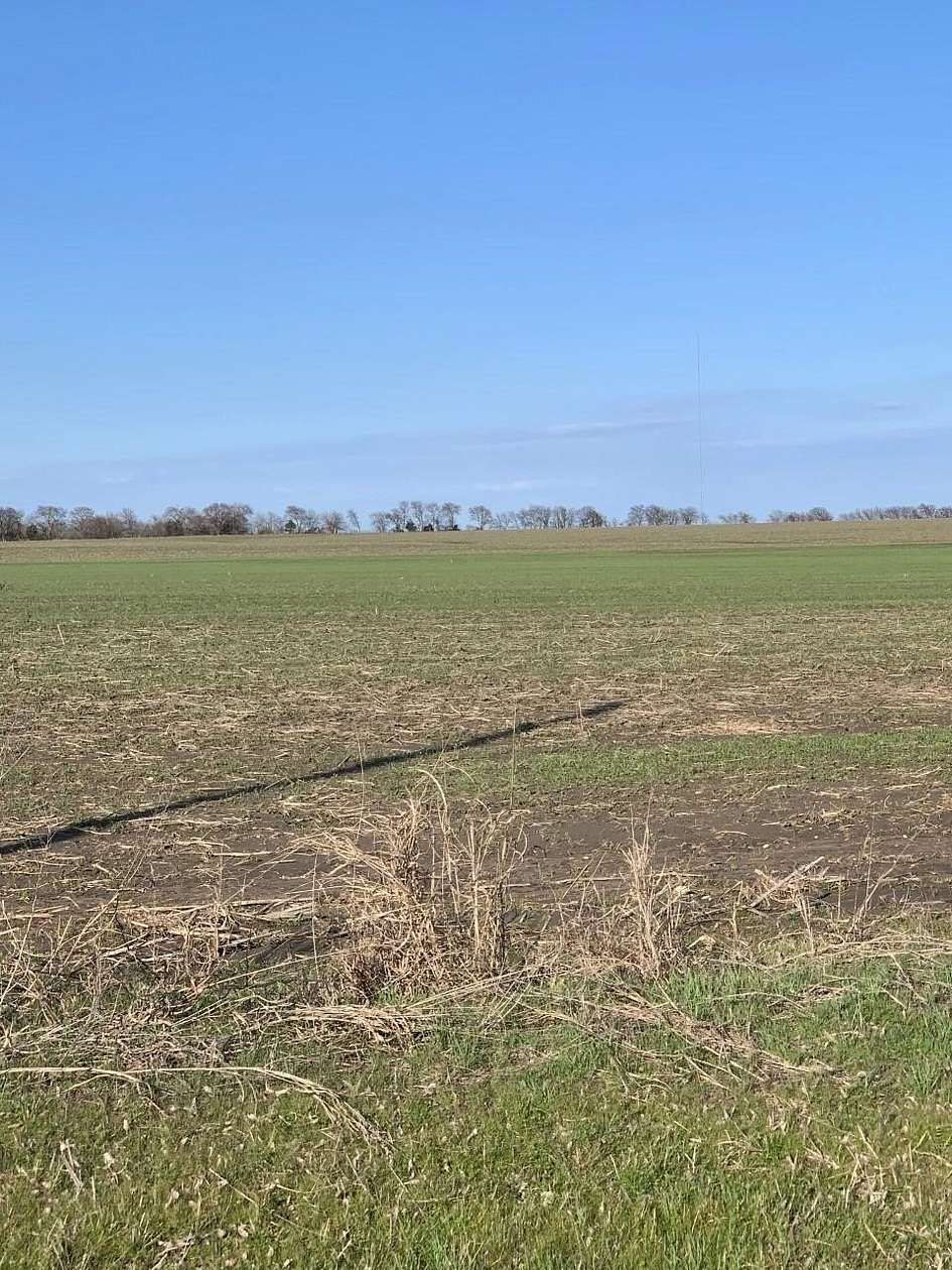 18 Acres of Land for Sale in Tioga, Texas