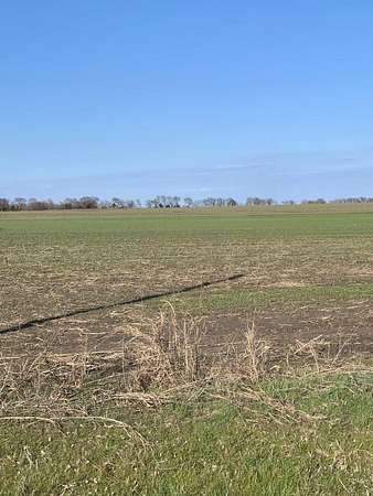 18 Acres of Land for Sale in Tioga, Texas
