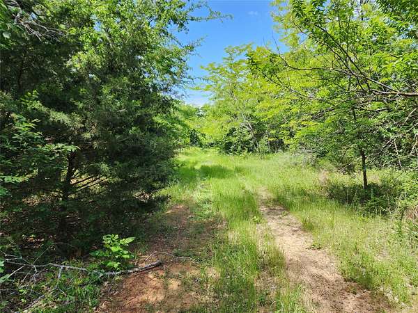 67.7 Acres of Land for Sale in Sulphur Springs, Texas