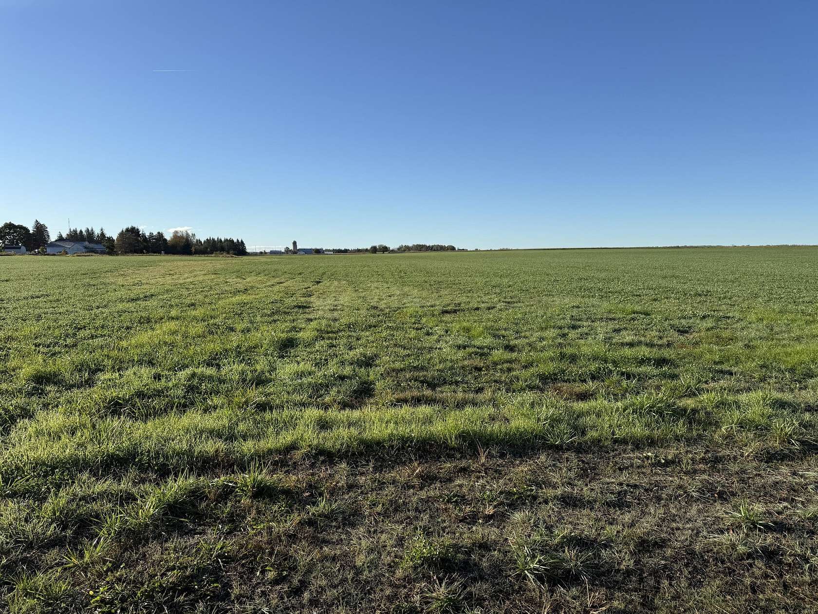 30 Acres of Land for Sale in Alpena, Michigan