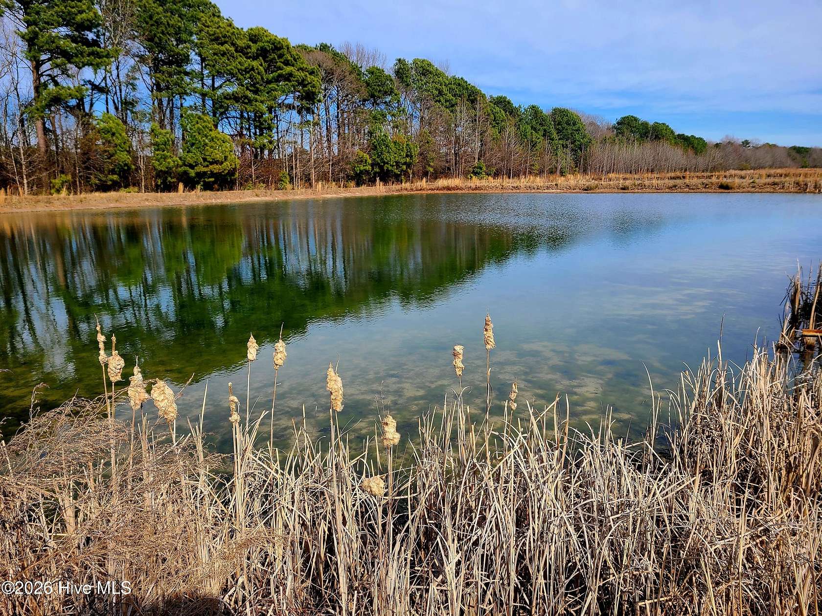 75.7 Acres of Improved Agricultural Land for Sale in Turkey, North Carolina