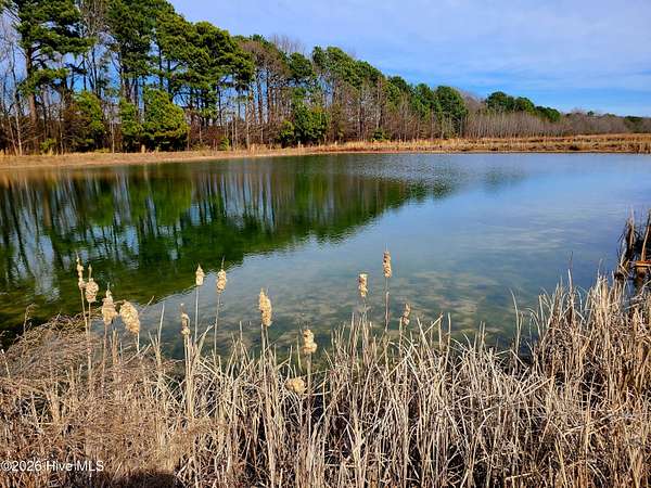 75.7 Acres of Improved Agricultural Land for Sale in Turkey, North Carolina