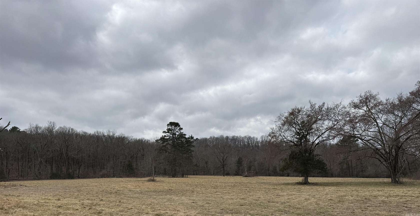 40 Acres of Land for Sale in Greenbrier, Arkansas