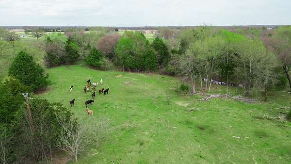 3 Acres of Residential Land for Sale in Kaufman, Texas