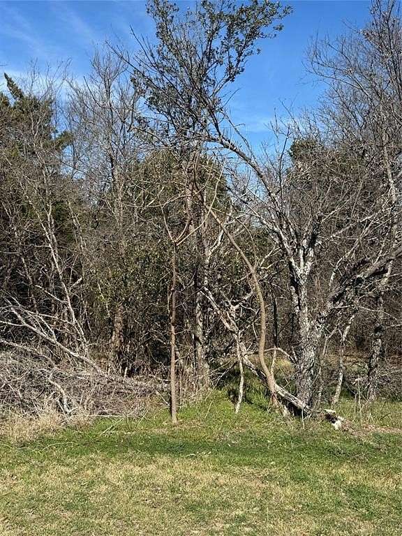 0.33 Acres of Residential Land for Sale in Whitney, Texas